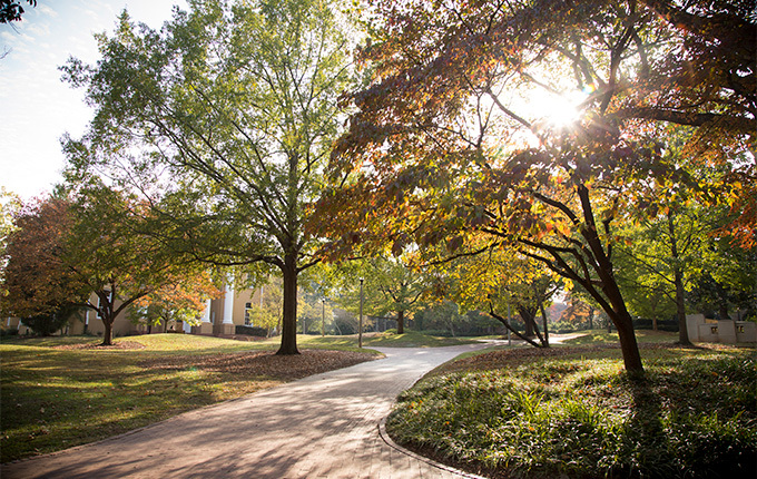 fall on campus