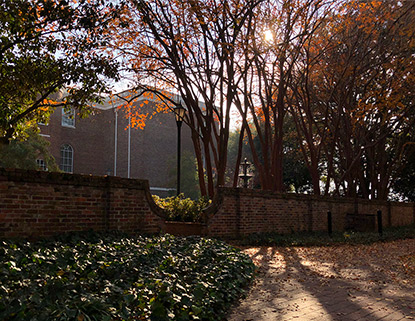 Tall crepe mytrles framed with a brick wall and a fountain in the middle of the garden.