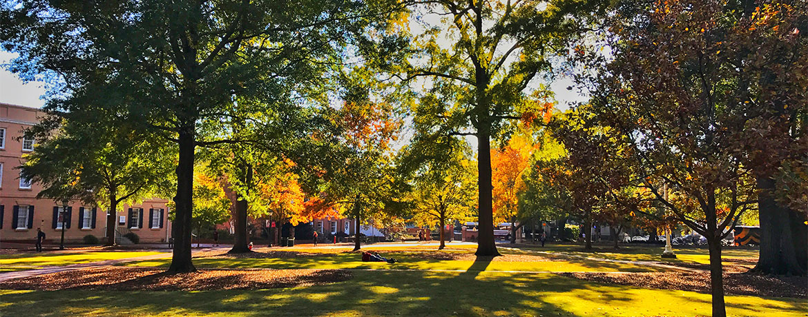 Grassy, tree-covered area of The Horseshoe on campus in front of historic university buildings