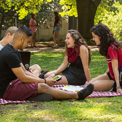 Studetns studying in a group on the UofSC Horeshoe