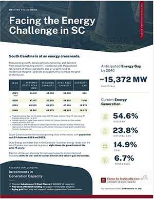 Facing the energy challenge -- small photo of report