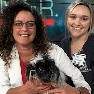 Two women holding a small dog