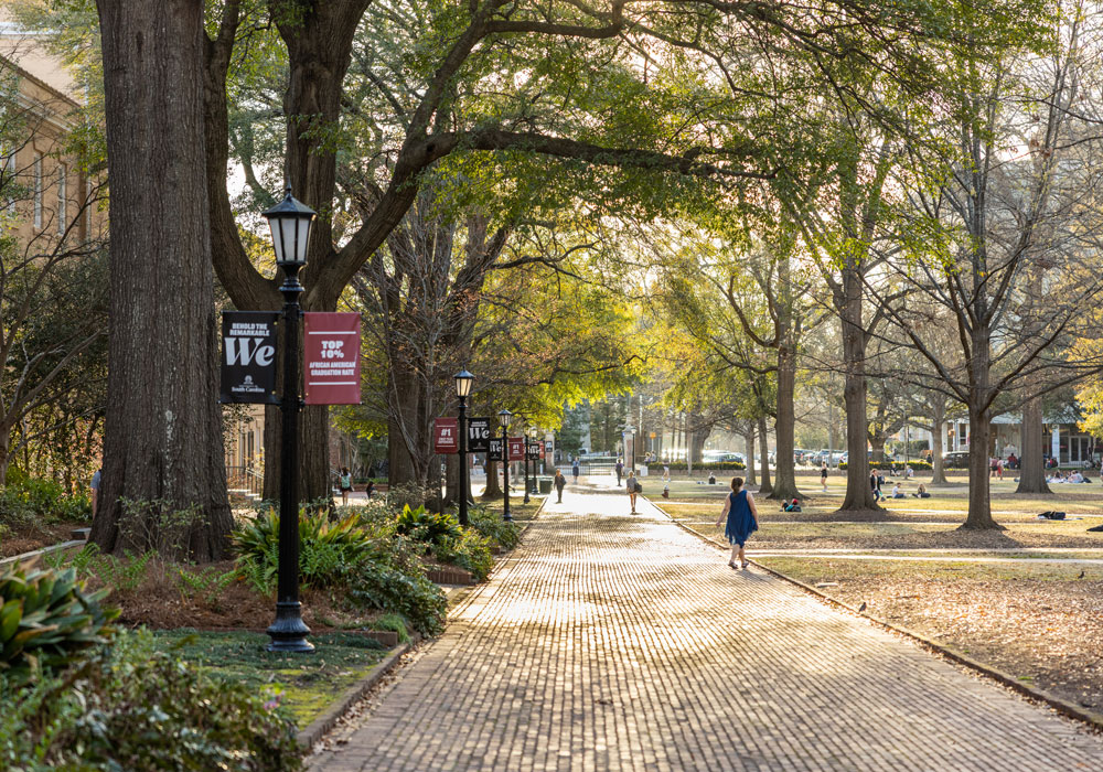 Sun setting on Horseshoe brick path with students walking.