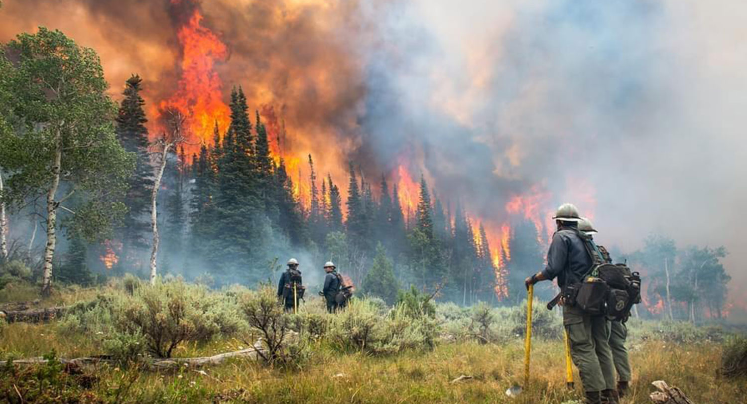 A stock image of firefighters standing near a blazing wildfire.