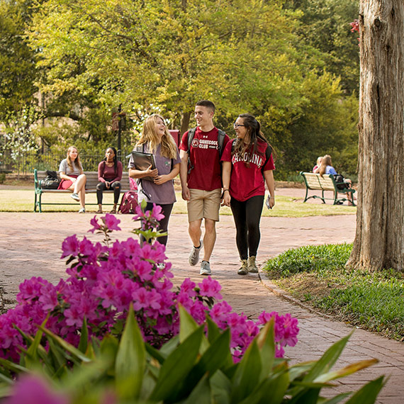 three students wearing garnet walk along brick pathway lined by trees