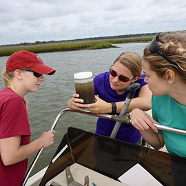 Marine science students at Baruch Institute 