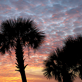 South Carolina Sunset