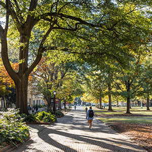 The tree-lined USC horseshoe