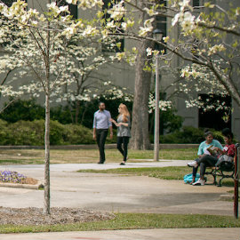 students on campus